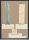 Pleurosigma formosum W.Sm. (de-Toni-Nr.: Genus 13, Species 1040) Zeichnungen Sammlung Grunow Nr. 2096 (NHMW-BOT-W0368967)